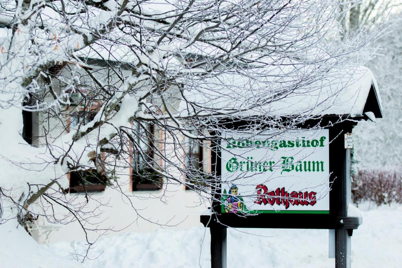 Hotel & Restaurant Gruner Baum - Die Grune Oase Am Feldberg 费尔德伯格 外观 照片